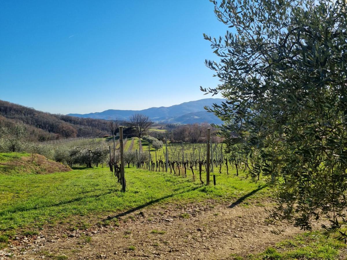 Walkandrace Sant'Agata  Экстерьер фото